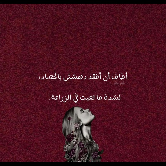 ayah_sonboul